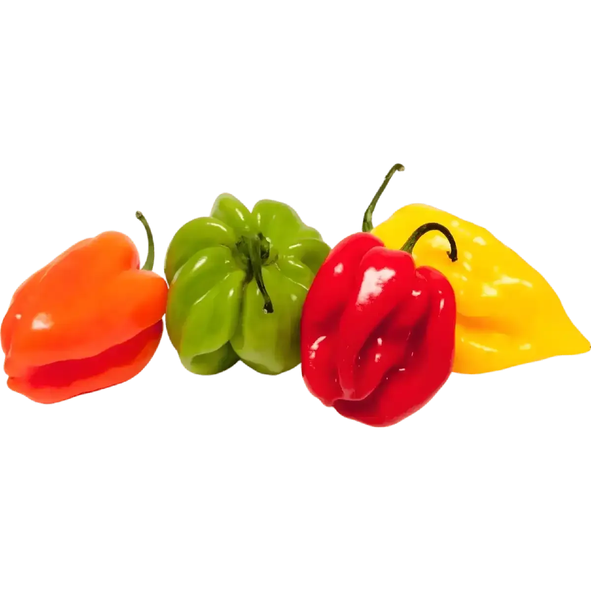 Piment antillais surgelé multicolore en présentation alignée, idéal pour cuisine épicée et plats exotiques aux saveurs originales.